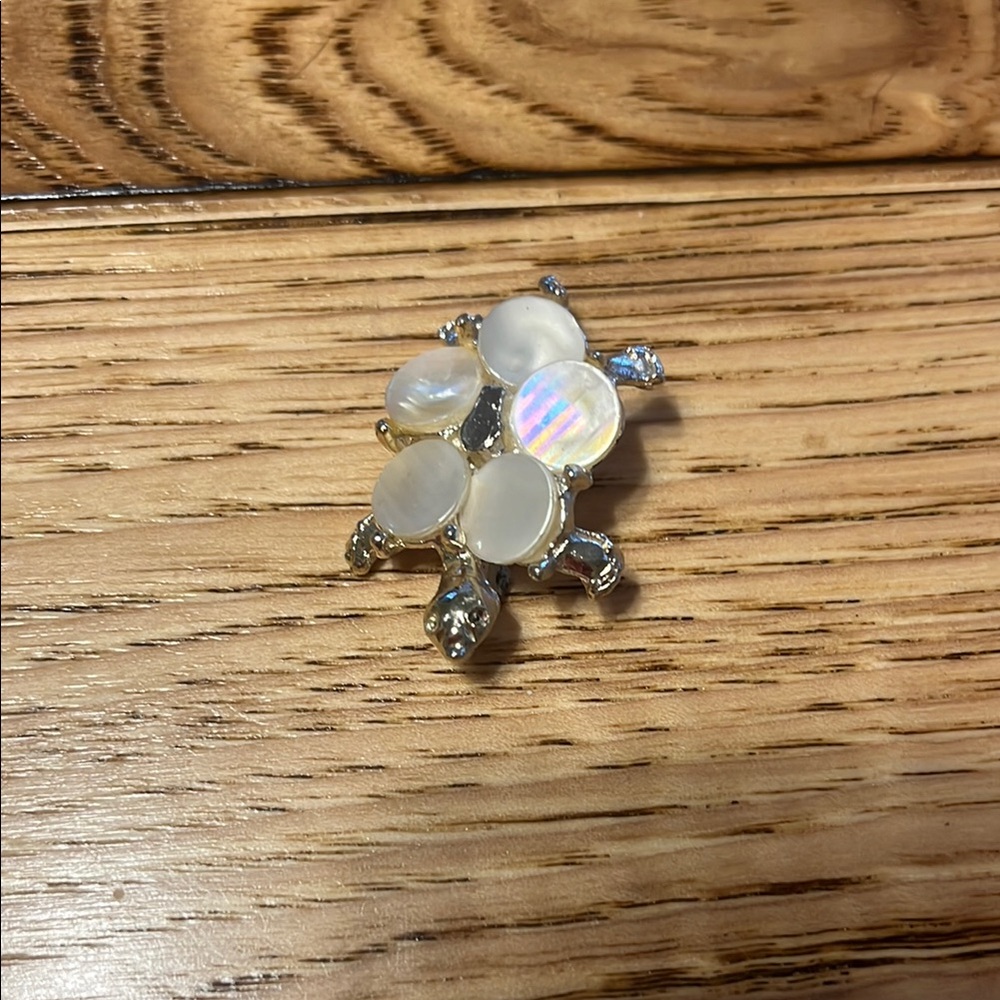 Multicolor Brooch Set - Picture 5 of 8